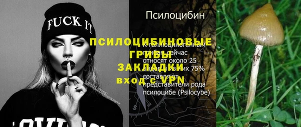 первитин Богородск