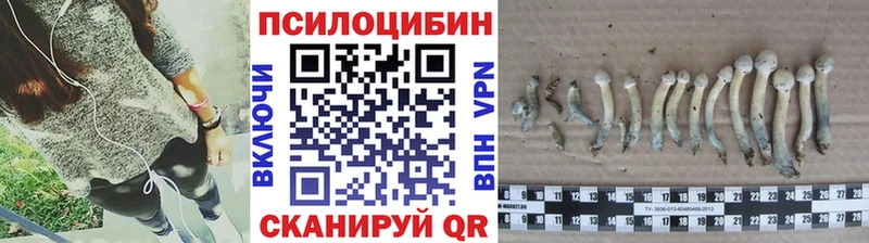 Псилоцибиновые грибы ЛСД  Купить где  Остров 